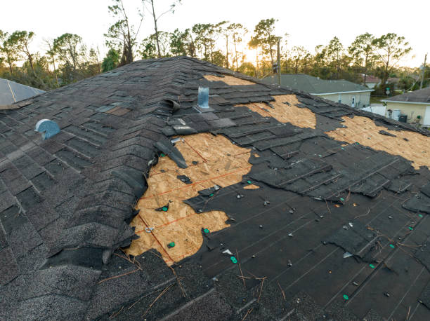 Best Roof Moss and Algae Removal  in Countryside, VA